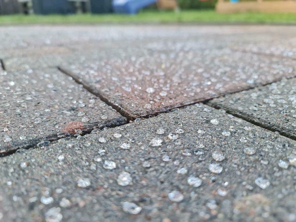 Pflasterfläche reinigen Freiburg