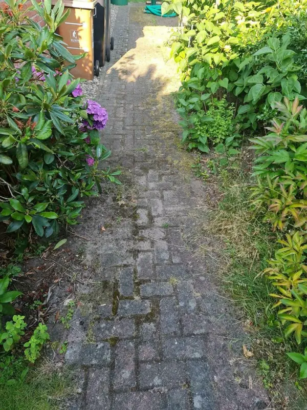 Steinreinigung Freiburg Terrasse