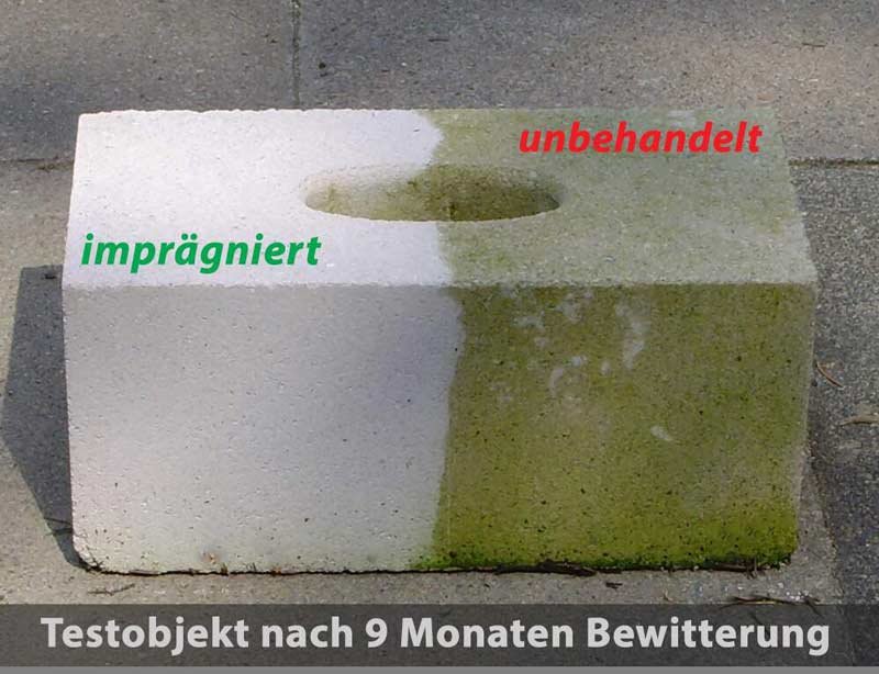 Reinigung Pflastersteine Freiburg